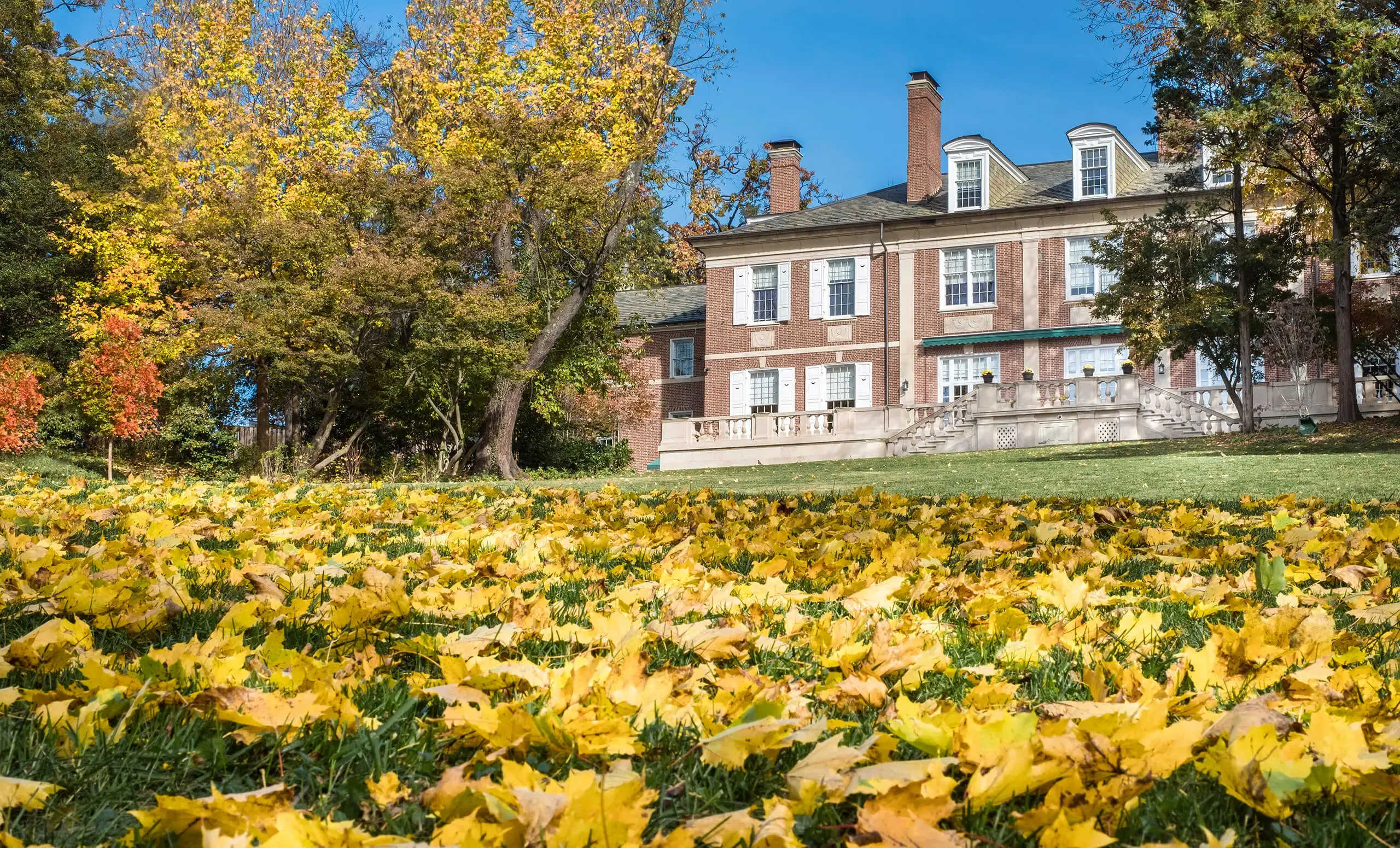 Mansion with grass foreground