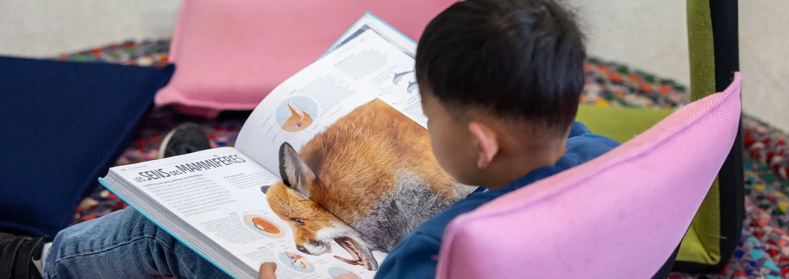 small boy reading a large book