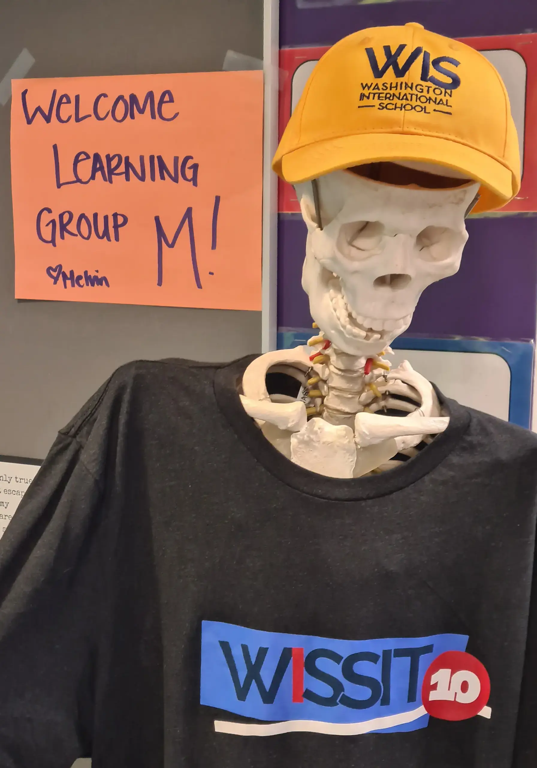 Skeleton model wearing a baseball cap