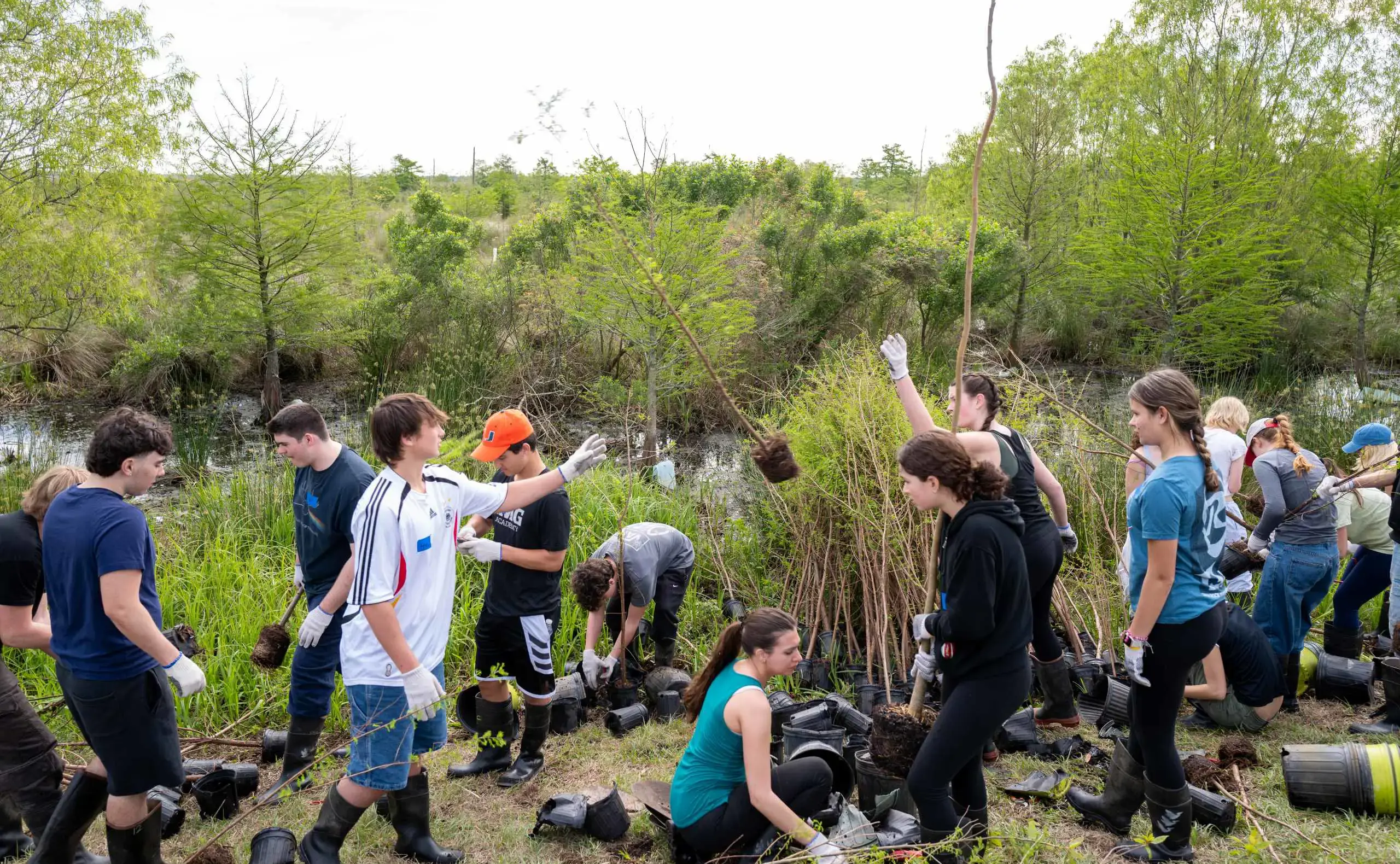 Students planting trees