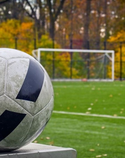 Soccer ball and a soccer field