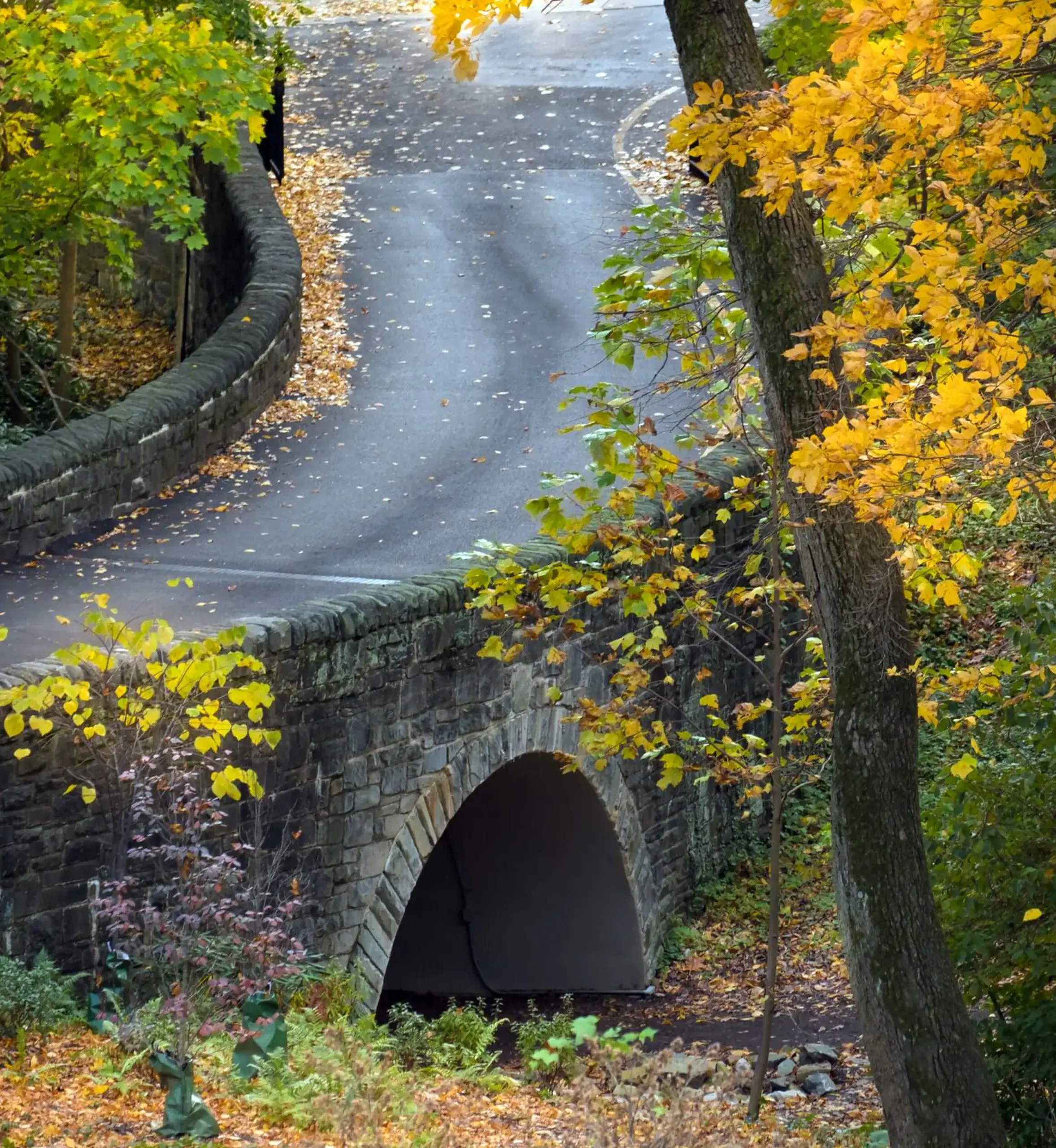 an old stone bridge in the fall